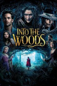 Nonton Into the Woods 2014
