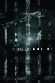 The Night Of: Season 1