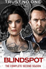 Blindspot: Season 2