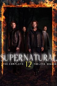 Supernatural: Season 12