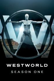 Westworld: Season 1