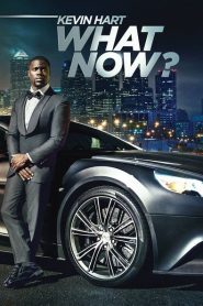 Nonton Kevin Hart: What Now? 2016