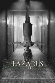 Nonton The Lazarus Effect 2015