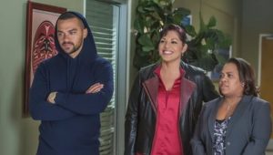 Grey’s Anatomy 12×13