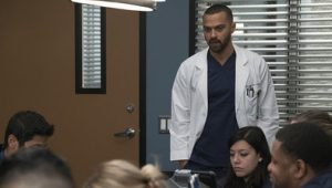 Grey’s Anatomy: 14×8