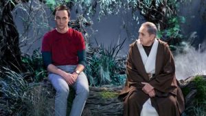 The Big Bang Theory: 11×6