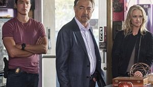 Criminal Minds: 13×7