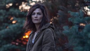 Absentia: 1×3