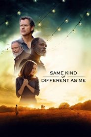 Nonton Same Kind of Different as Me 2017