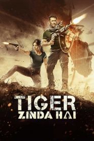 Nonton Tiger Zinda Hai 2017