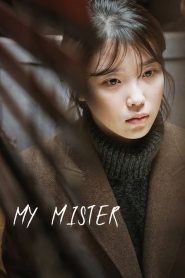 Nonton My Mister