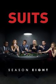 Suits: Season 8