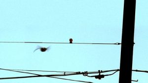 Criminal Minds: 8×4