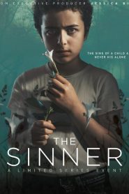 The Sinner: Season 2