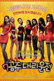 Nonton Seven Princess Driver 2015