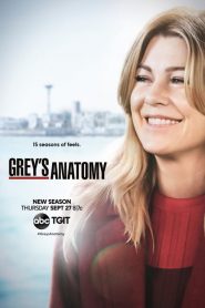 Grey’s Anatomy: Season 15