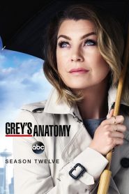Grey’s Anatomy: Season 12