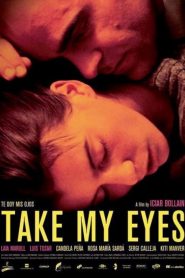 Nonton Take My Eyes 2003
