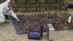 Criminal Minds: 4×26