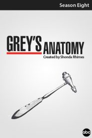 Grey’s Anatomy: Season 8
