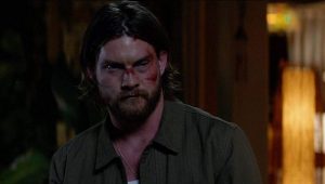 Animal Kingdom: 4×9