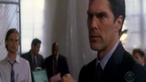 Criminal Minds: 1×20