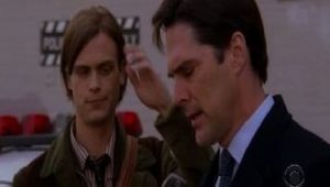 Criminal Minds: 1×17