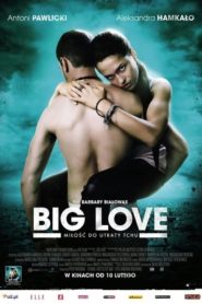 Nonton Big Love 2012