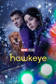 Nonton Hawkeye