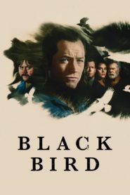 Nonton Black Bird
