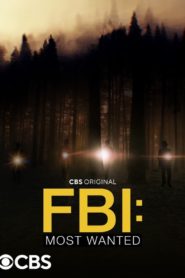 FBI: Most Wanted: Season 4