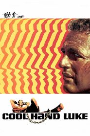 Nonton Cool Hand Luke 1967