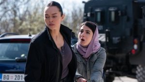 FBI: International: 4×20