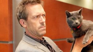 House: 5×18