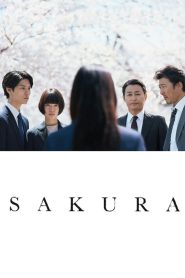 Nonton Sakura 2024