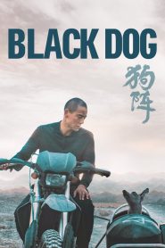 Nonton Black Dog 2024
