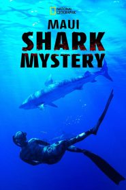 Nonton Maui Shark Mystery 2022