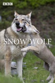Nonton The Snow Wolf: A Winter’s Tale 2018