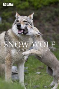 Nonton The Snow Wolf: A Winter’s Tale 2018