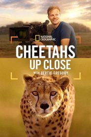 Nonton Cheetahs Up Close with Bertie Gregory 2025