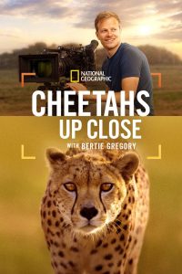 Nonton Cheetahs Up Close with Bertie Gregory 2025