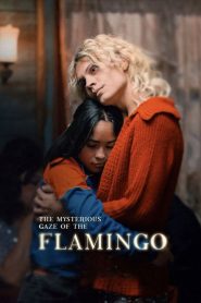 Nonton The Mysterious Gaze of the Flamingo 2025