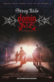 Nonton Stray Kids: The dominATE Experience 2026
